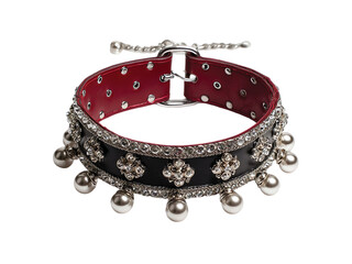 Leather Choker isolated on transparent or white background