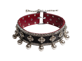 Leather Choker isolated on transparent or white background