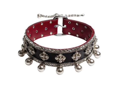 Leather Choker isolated on transparent or white background