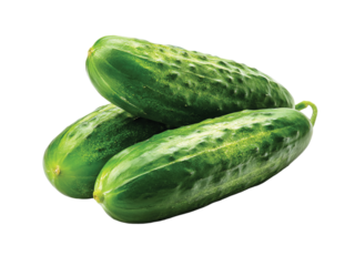 Four small bite size dipping cucumbers isolated on transparent or white background