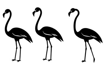 set of Flamingo silhouette vector illustration