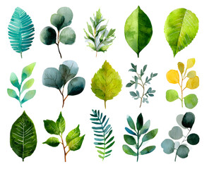 Set of watercolor green leaves elements. Collection of botanical isolated on white background suitable for wedding invitation, save the date, thank you, for greeting card. Delicate decorative branches