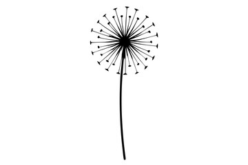 Dandelion silhouette vector illustration