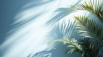 Shadows of palm leaves create a calming pattern on a light blue wall, evoking a tropical and serene atmosphere.
