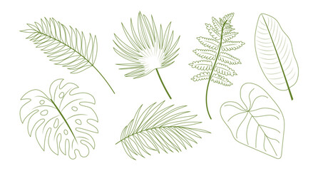 Set of various tropical and botanical leaves including monstera, palm, fern and philodendron. Hand drawn, green outline, contour style. Botanical collection, eco-friendly design. © Nadiia