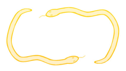 Yellow snake watercolor frame design