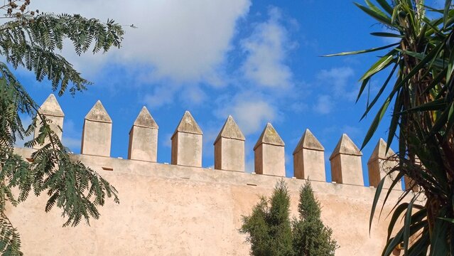 Medina-Mauern & Palmen &ndash; Marokkos ikonische Stadtsilhouette