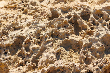 Eroded Coastal Rock Formations in Cyprus, Close-up of textured limestone rock formations shaped by wind and sea erosion on the Mediterranean coast.