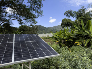 Solar Panel in Tropical Farm with Green Trees and Mountain Background