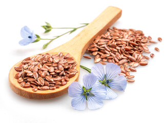 Flax seeds in wooden spoon and tender flax flower isolated on white background. File contains clipping paths.