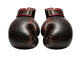 Vintage Boxing Gloves PNG