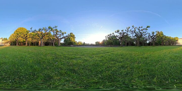 8K 360&deg; VR Video in Tree-Surrounded Garden Area of Schoenwasser Park, Germany