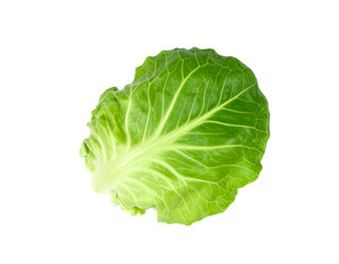 green cabbage leaf isolated on transparent background, png