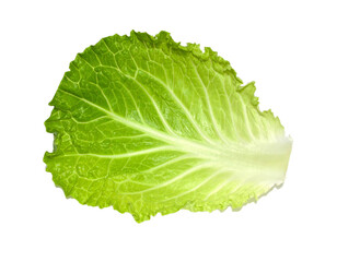chinese cabbage leaf isolated on transparent background, png