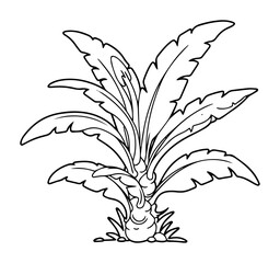 tropical plant outline vector illustration jungle monochrome line art