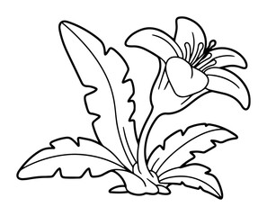 tropical flower outline vector illustration exotic botanical monochrome line art