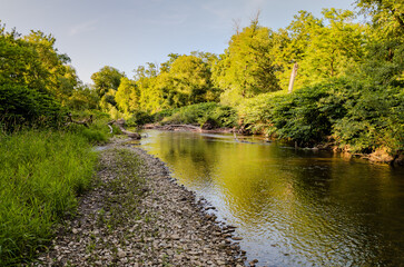 Sur les rives de la Fecht : la danse du robinier et des eaux vives au printemps, Alsace, CEA, Grand...