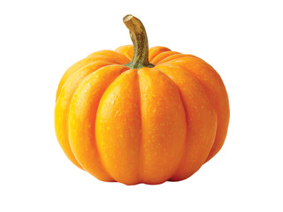 Vegetable pumpkin isolated on transparent or white background, Clipping Path ,png 