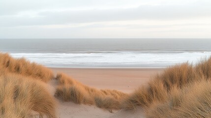 Serene coastal dune landscape; calm ocean waves, pale sand, and tall grasses