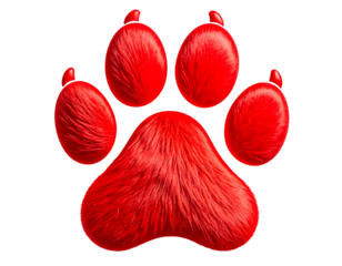 Dog paw, transparent background.