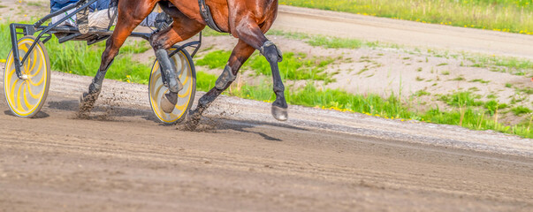 Equestrian sport. A horse and cart on a hippodrome track. Copy space