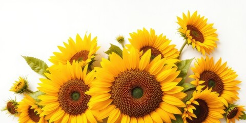 Sunflower Sublimation Design Template - Customizable PNG for Crafts
