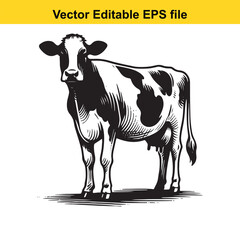 Monochrome Illustration of a Holstein Cow Standing Steadily With Detailed Texturing and Shading in Vector Editable Format
