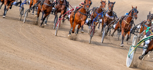 Equestrian sport. Horses compete in harness racing. Copy space