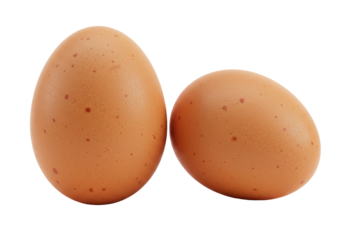 Isolated Pair of Brown Chicken Eggs Natural Food