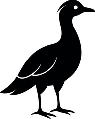 oilbird bird silhouette