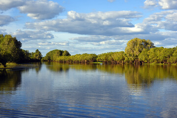 Obraz premium panoramic landscape view to the yellow river billabong in the wetland of Kakadu National Park in the Northern territories of Australia 