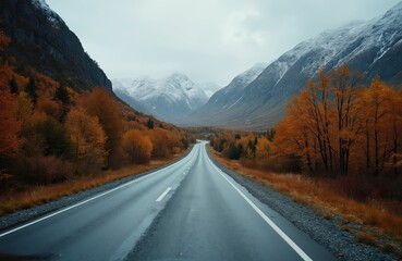 Empty road leads toward mountains in autumn Norway. Road bends, surrounded by fall colors trees. Moody cloudy day. Travel, hiking, vacation. Adventure, exploring nature, tourism, freedom concept.