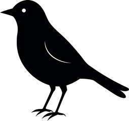 nightingale bird silhouette 