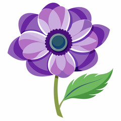 pink flower on white background