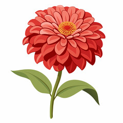 red dahlia flower