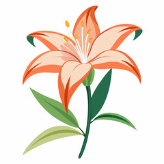orange lily flower