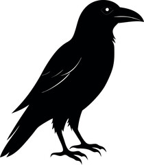 raven bird silhouette 
