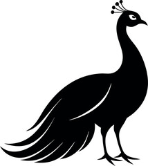 peacock silhouette