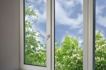 View from the window of green trees in the garden, park.