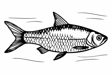 High-Quality Fish Sketch Vector Image for Commercial Use