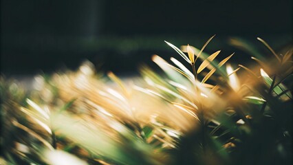 Green leaves soft blur, nature background warm light, abstract foliage
