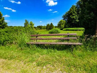 Botanical Paradise Lush Garden Splendor