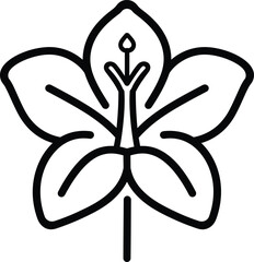 Bold Black and White Line Art Illustration of a Detailed Blossom Flower