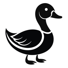 vector illustration of a duck