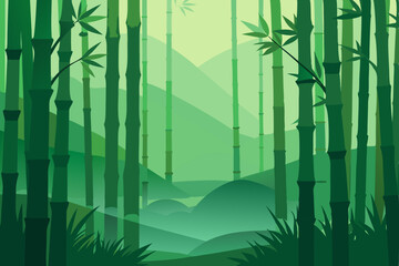 bamboo forest in the morning