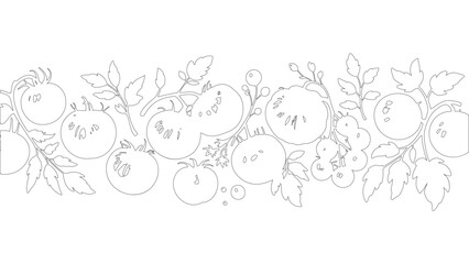 Minimalist line art of tomatoes with branches and leaves
