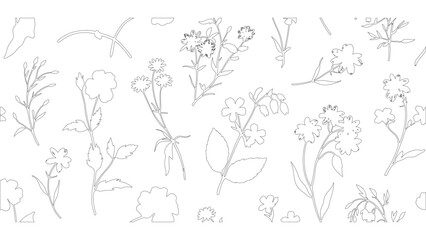 Hand-drawn Floral Line Art
