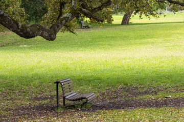 Empty benches inviting visitors to relax in parque da paz, almada