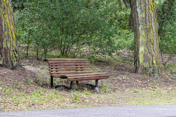 Empty Bench Inviting Visitors Relax