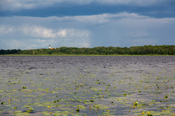Lake view at the Burtnieku lake in summer in June shortly before rain in Latvia